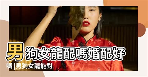 幹天雷|【男龍女狗】男龍女狗婚配：愛情之路有波折，但終究會修成正果。